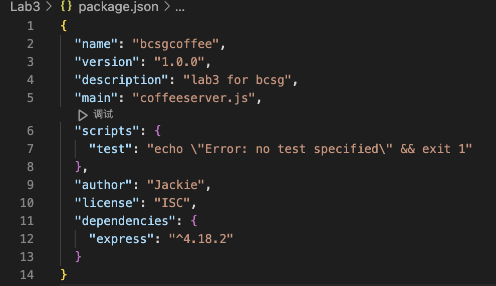 package.json